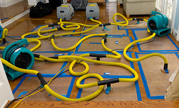 Professional Water Damage Repair technician working in Matlock, IA